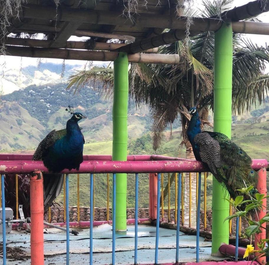 Castillo De Cascadas Finca Hotel Саламина Экстерьер фото